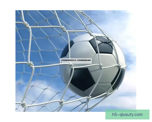 高清稳定足球直播下载方法大全新手必看指南合法安全资源整理与实用技巧